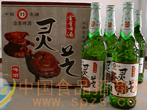 灵芝啤酒 批发价格 厂家 图片 食品招商网