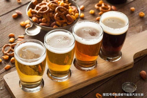 蒸汽发生器在酿酒行业中的作用